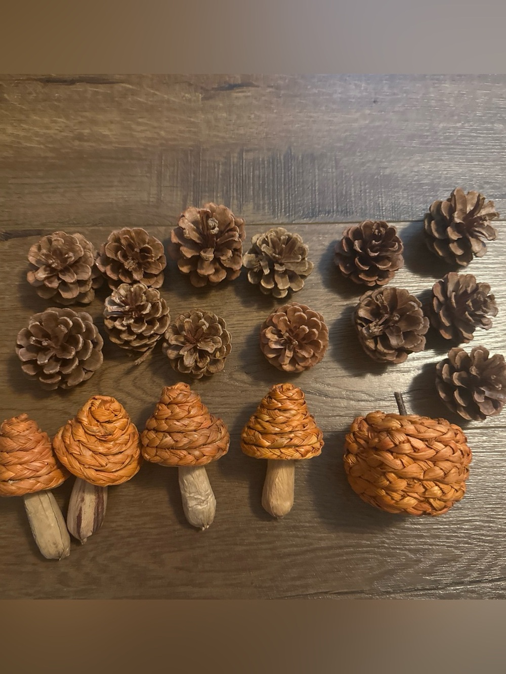 Fall Bowl Fillers